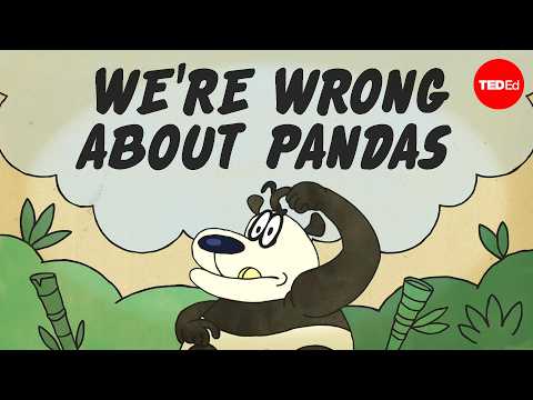 Are pandas the most misunderstood animal? - Lucy Cooke