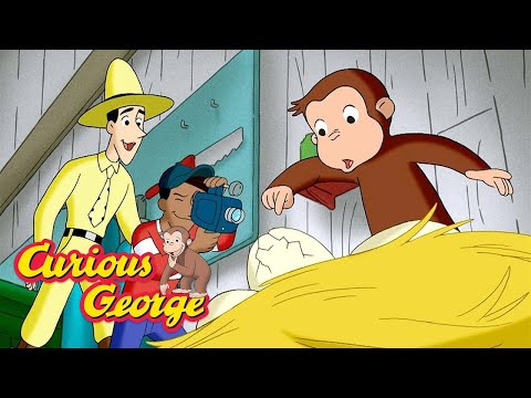 George and the baby ducks π΅ Curious George π΅ Kids Cartoon π΅ Kids Movies