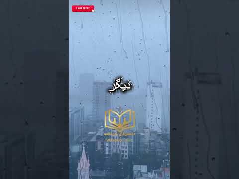 بیشتر آدم‌ها تنبل نیستند… 🧠