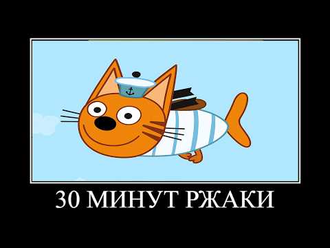 35 МИНУТ РЖАКИ ТРИ КОТА 😂 ПОПРОБУЙ НЕ ЗАСМЕЯТЬСЯ
