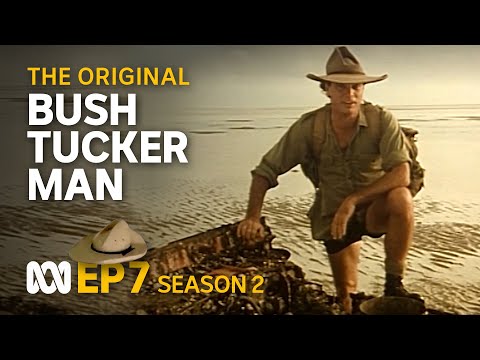 Exploring the Cape York coast on foot 🤠🗺️ | Bush Tucker Man | S2 EP7 | ABC Australia