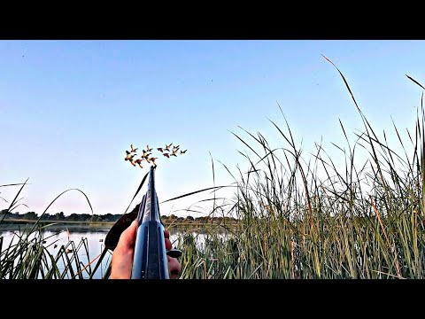 DUCK HUNTING 2025!!! FILLED A BAG WITH DUCKS IN AN HOUR!!!