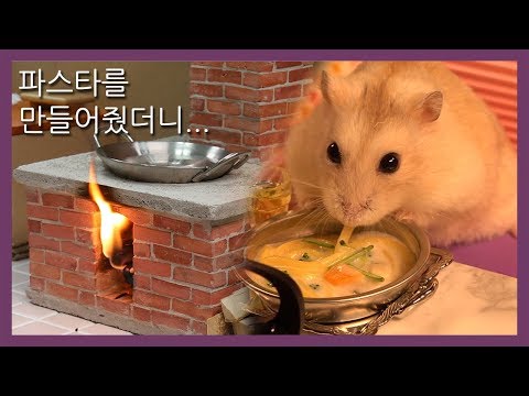 [ENG Sub] I made pasta for the hamster.