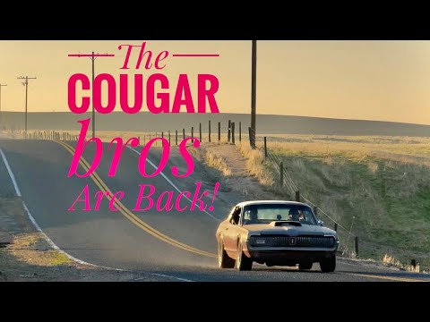 The Cougar Bros Are Back!