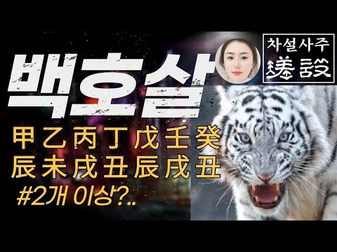 2개이상이면? 이걸 조심하자 그리고 개운법