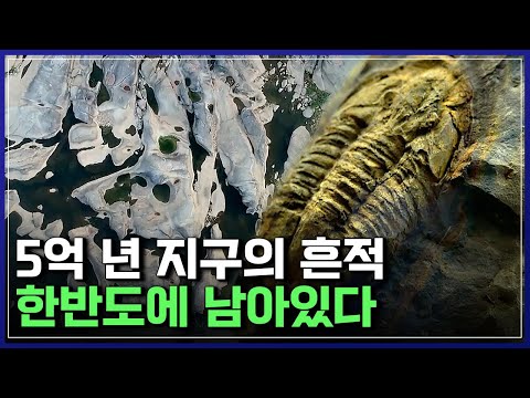 "경이로운 모습!" 한반도에서 찾은 5억 년 지구의 흔적 | 5억 년의 흔적 [반복재생]/YTN 사이언스