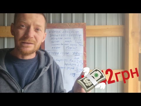 Заробіток на харчовому яйці - міф чи реальність!?