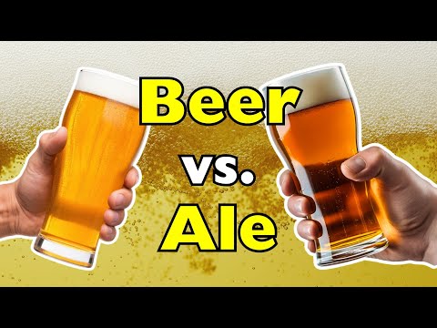 Beer vs. Ale: Which One Should You Drink?