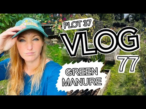 All About Green Manure. Plus Chelsea Flower Show and Freezing Beans || Plot 37 (Episode 77)