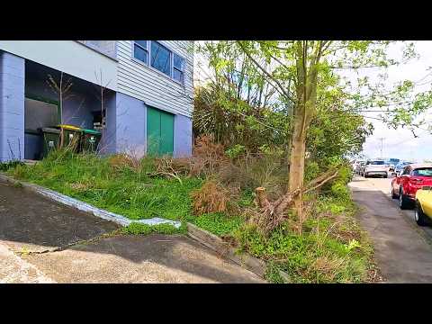 The real estate agent said he couldn't sell the house in this CONDITION!