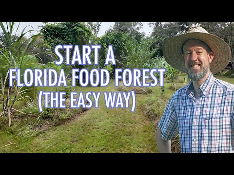 Start a Florida Food Forest - the Easy Way! (Complete Presentation)