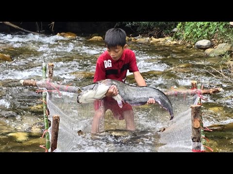 Bac's survival fish trap, arranging the rock to create a trap, uses plastic nets to catch large fish
