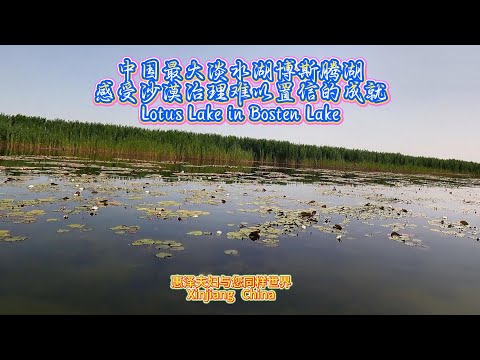 中国最大淡水湖博斯腾湖感受沙漠治理难以置信的成就