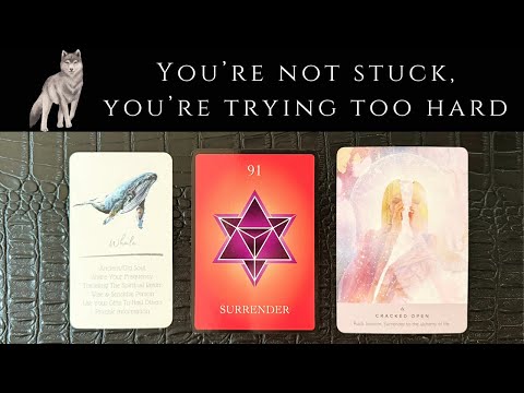 Stop & SLOW Down - Let Spirit Take Care Of You🕊️A Message For The Lone Wolf, A Sensitive Old Soul🐋💎