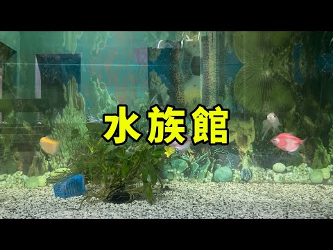 水族館