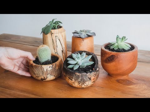 This is How I Make Succulent Planters From Scrap Wood on My Lathe!