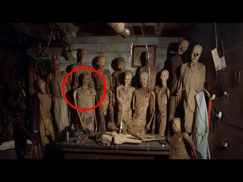 CRIMENES IMPERFECTOS - LA NOVENA MOMIA  - CAPITULO COMPLETO 2025 NUEVO