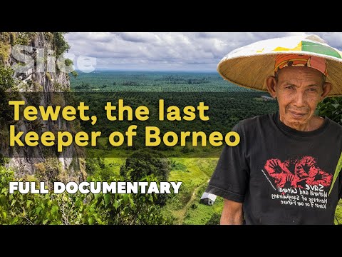 Tewet, the last keeper of Borneo I SLICE I Full documentary