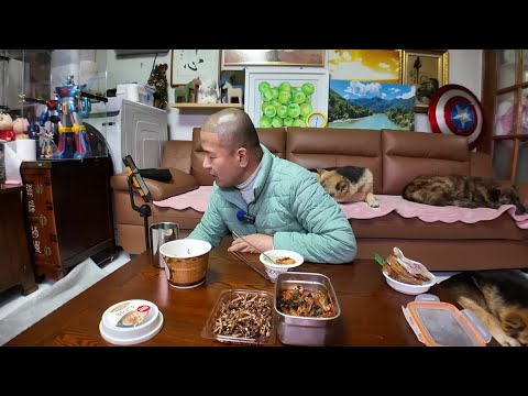 진돗개 텐 패밀리,실시간 방송! 컵밥 먹방!