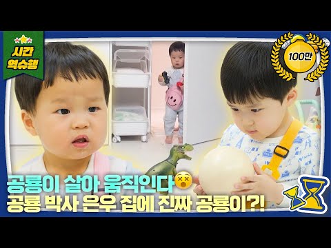 [SUB] ※Caution: Dinosaurs are real※ We have an Ankylosaurus l The Return of Superman KBS 250101