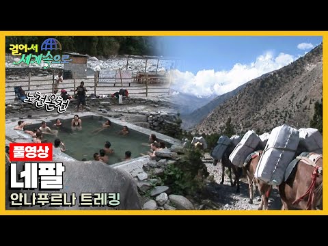 [옛날 걸어서세계속으로Full📺] '네팔 안나푸르나' Trip to Nepal (KBS_20081213)