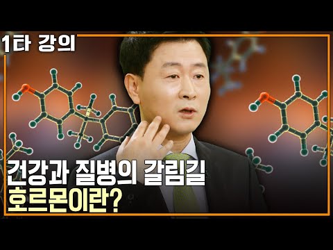 [안철우 슬기로운 호르몬 생활 ✨특강] 긴 병, 이게 다 호르몬 때문이다! 현명한 호르몬 조절법에 대해 알아보는 시간! | KBS 20180412 방송