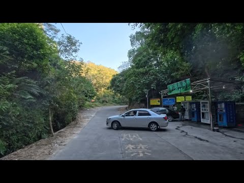 广东山上的“明朝古井”？探秘524县道云勇森林公园，城里人开车1个多小时进山只为喝到安全的水！💧Yunyong Ancient Well Scenic Self-Driving Tour[4K60P]