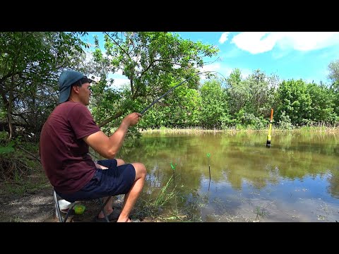 С НЕЙ БЕЗ РЫБЫ НЕ УЙДЁШЬ. КУЧА РЫБЫ ИДЁТ НА НЕРЕСТ. Весенняя рыбалка на поплавок. Поплавочная удочка