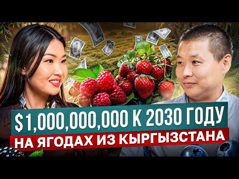 $1 МЛРД к 2030 на ЯГОДАХ – Прорыв для Кыргызстана!? / Тилек Токтогазиев