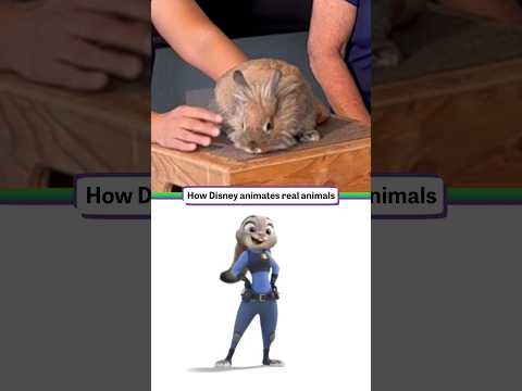 How Disney animates real animals #Zootopia2