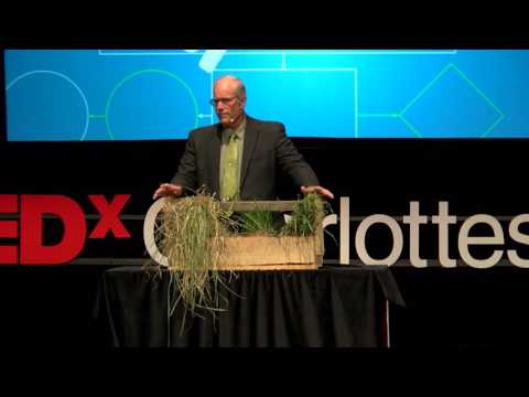 Cows, Carbon and Climate | Joel Salatin | TEDxCharlottesville