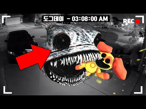 주노말리 물고기 괴물에게 잡아먹힌 도그데이의 최후..