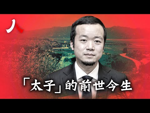陳志的水到底有多深 | #太子集團 #陳志 #詐騙 |【#人物真相】