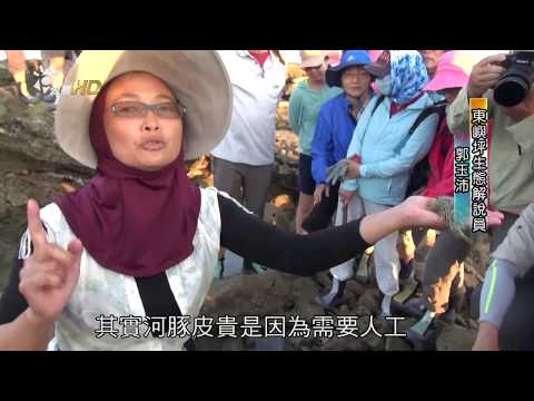 2017/6/2 南部開講-在地旅行 澎湖南方四島巡禮