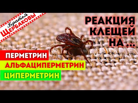 Реакция клещей на АЛЬФАЦИПЕРМЕТРИН, ПЕРМЕТРИН и ЦИПЕРМЕТРИН. Тест на выживание