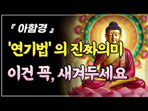 99% 불교신자들이 모르는 '연기법'의 진짜 의미ㅣ아함경ㅣ부처님 말씀ㅣ불교 명언