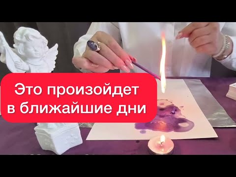 500% TRUE! Wax predicted your future!