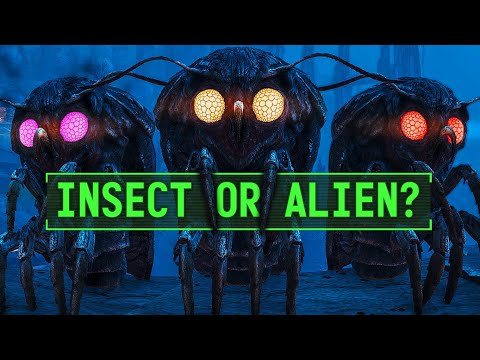 Fallout’s Cosmic Mystery: The Mothman | Fallout 76 Lore