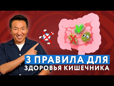 Please follow these THREE RULES AND YOUR INTESTINE WILL THANK YOU #doctorzimba