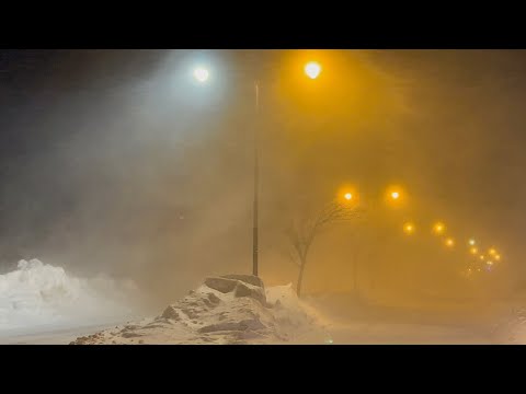 Snow Squall Whiteouts on the Buffalo NY Waterfront 02-23-25