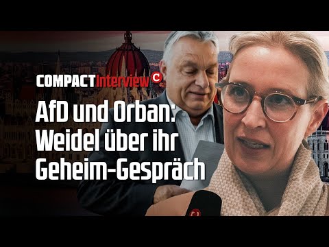 AfD and Orban: Weidel on her secret meeting!