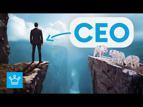 Being a CEO (What they don’t tell you)