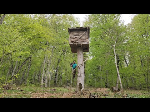 Life in a very dangerous wild forest and Building a tree hut!!