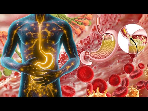 Repairs DNA & Heals Damaged Cells (528Hz EMDR Binaural QT4 Healing Frequency) #1