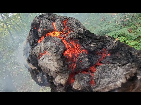 I Tested 53 Fire Starting Tinders - The Results May Surprise You