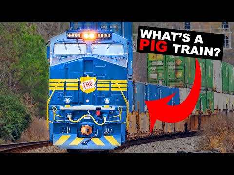 Train Types Explained in 25 Minutes