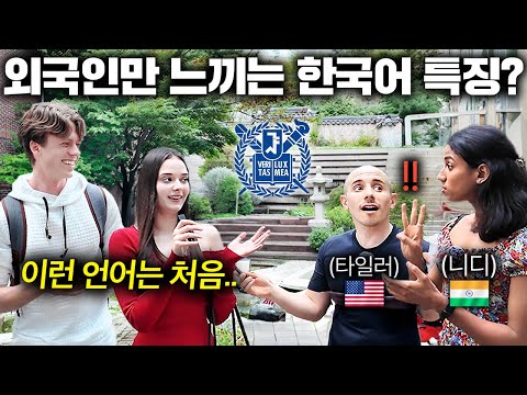 최근 한국어 배우는 외국인들이 격하게 공감하는 것 (서울대 어학당)