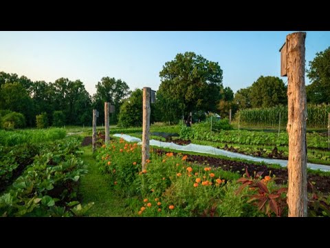 Why Biodiversity Matters