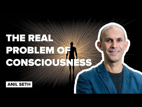 Exploring Consciousness, Philosophy, Neuroscience, and the Quantum World - Anil Seth | 04