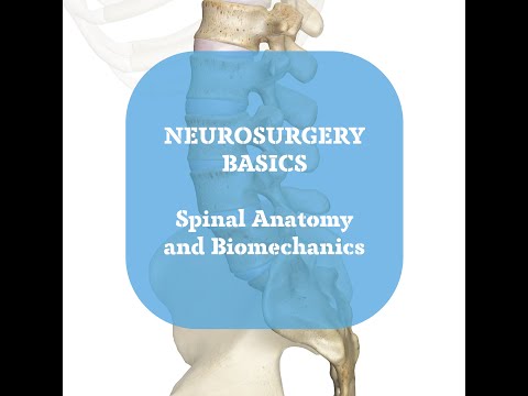 Neurosurgery Basics Lecture : Spine Anatomy and Biomechanics Part 1